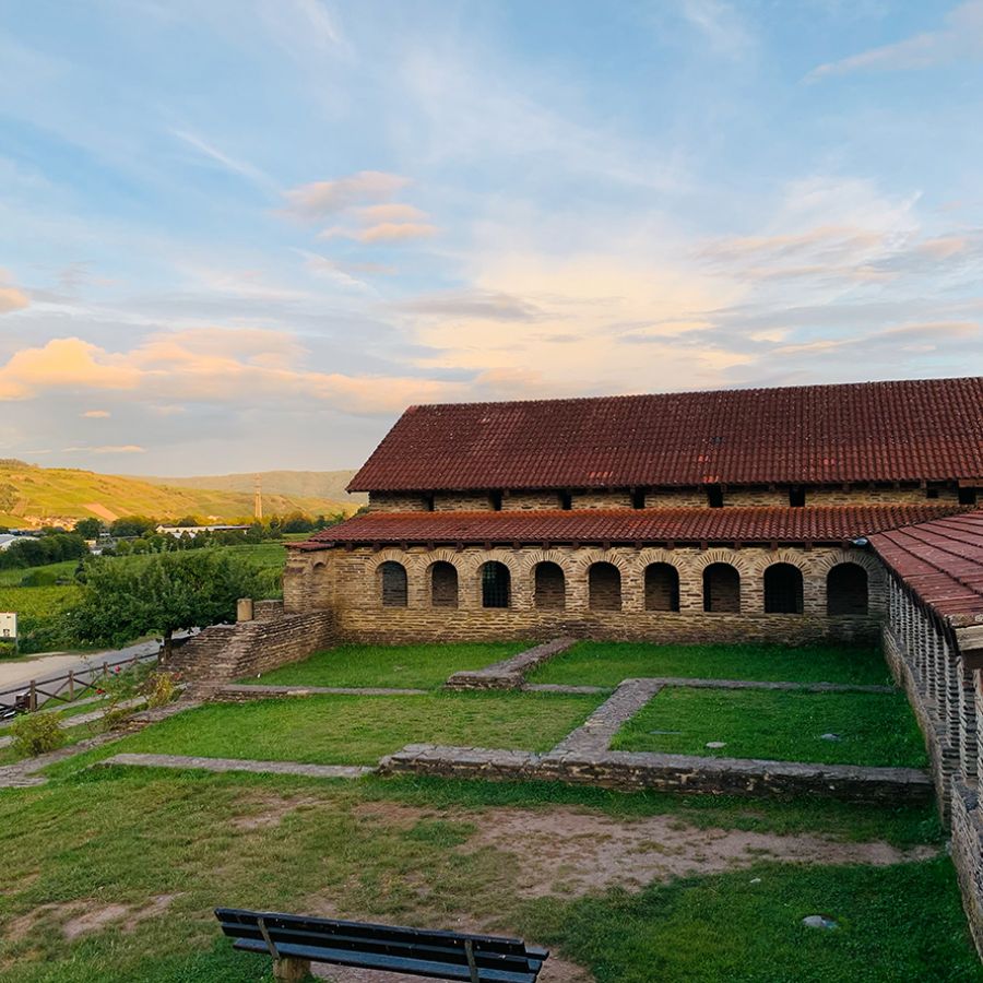 Weinwanderung und Wein Verkostung Mittelmosel Longuich